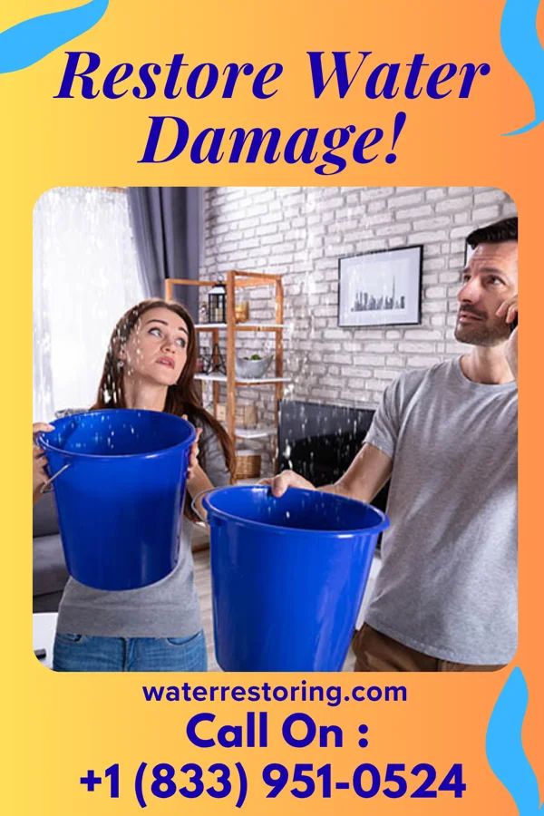 water restoration Expert Flood Mitigation & Sons Fremont